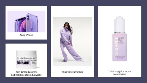 Digital Lavender sẽ trở thành màu sắc chủ đạo năm 2023 - Ảnh 1