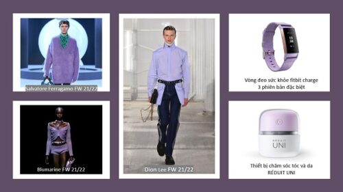 Digital Lavender sẽ trở thành màu sắc chủ đạo năm 2023 - Ảnh 2