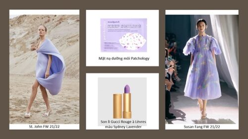 Digital Lavender sẽ trở thành màu sắc chủ đạo năm 2023 - Ảnh 3